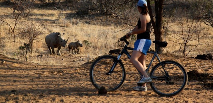 Safari & Yoga en lodge de luxe en Afrique du Sud