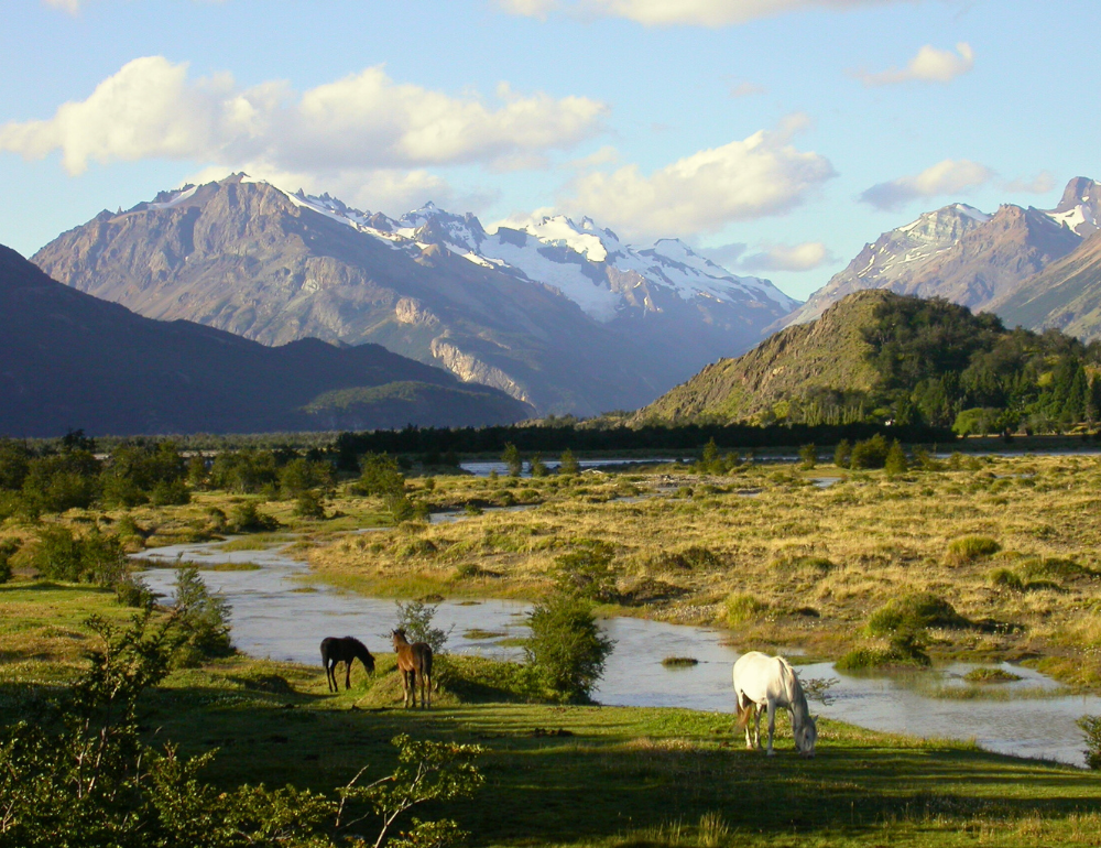 Séjour bien-être et découverte du Chili : Nature, Connexion et Chevaux