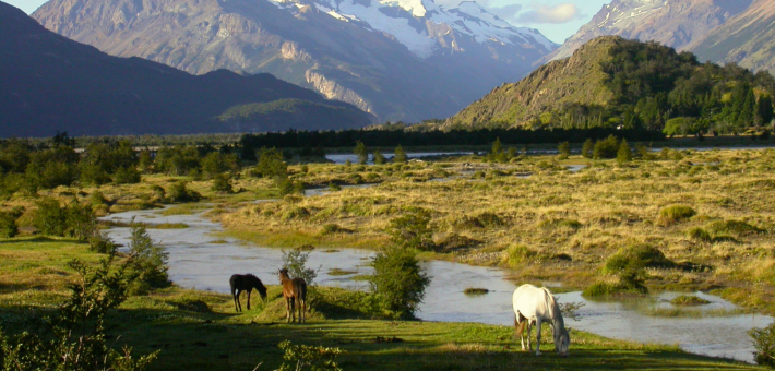 Séjour bien-être et découverte du Chili : Nature, Connexion et Chevaux - Zen&go