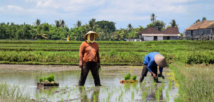 Séjour bien-être à Bali : yoga, développement personnel et immersion locale - Zen&go