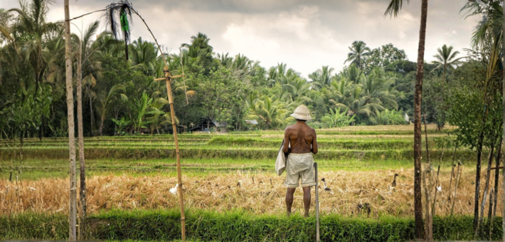 Séjour bien-être à Bali : yoga, développement personnel et immersion locale - Zen&go
