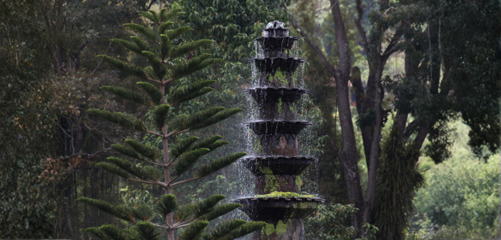 Séjour bien-être à Bali : yoga, développement personnel et immersion locale - Zen&go
