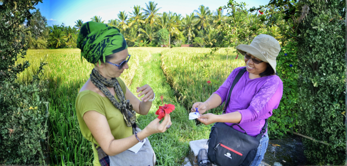 Séjour bien-être à Bali : yoga, développement personnel et immersion locale - Zen&go