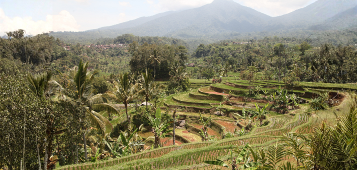 Séjour bien-être à Bali : yoga, développement personnel et immersion locale - Zen&go