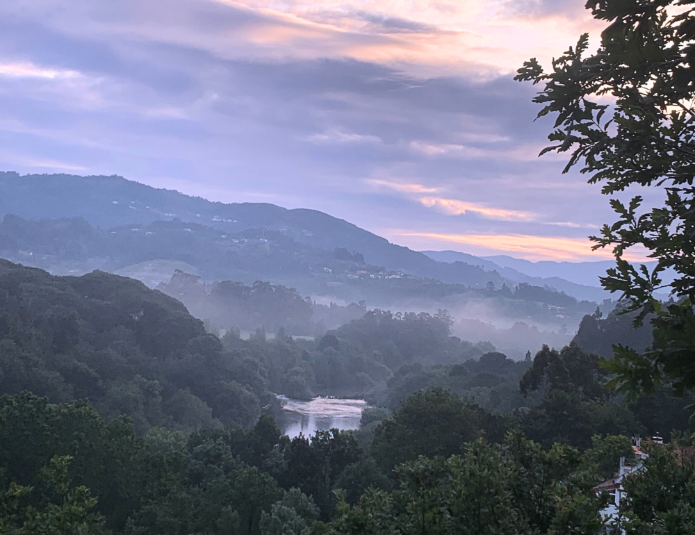 Séjour reconnexion à la nature et à sa joie intérieure
