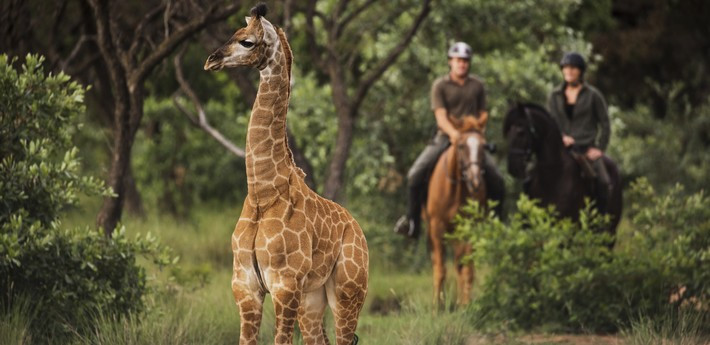 Safari & Yoga en lodge de luxe en Afrique du Sud