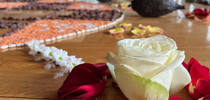 Yin yoga et éveil des sens au soleil de Provence - Zen&go