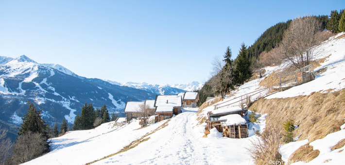 Séjour bien-être hivernal, marche nordique, raquettes & Yoga du froid - Zen&go