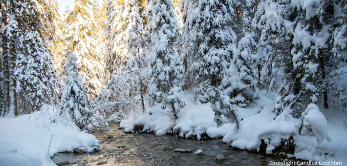 Séjour bien-être hivernal, marche nordique, raquettes & Yoga du froid - Zen&go