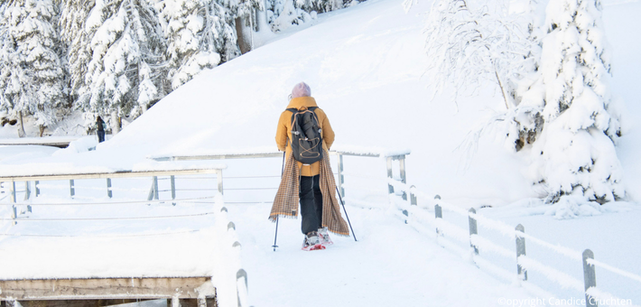 Séjour bien-être hivernal, marche nordique, raquettes & Yoga du froid - Zen&go