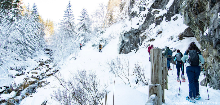 Séjour bien-être hivernal, marche nordique, raquettes & Yoga du froid - Zen&go