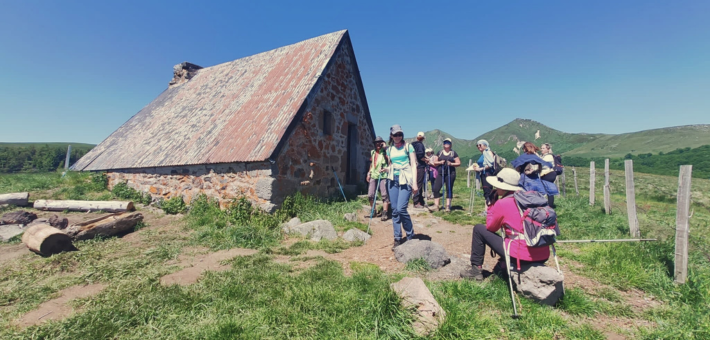 Séjour randonnée bien-être, yoga et canikart en Auvergne - Zen&go