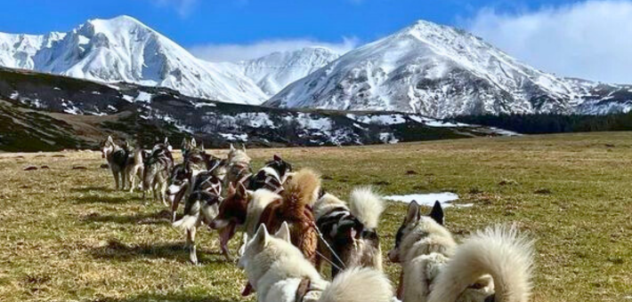 Séjour randonnée bien-être, yoga et canikart en Auvergne - Zen&go