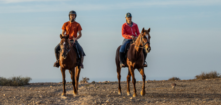 Séjour bien-être, multi-activités et connexion au cheval sur la côte marocaine - Zen&go