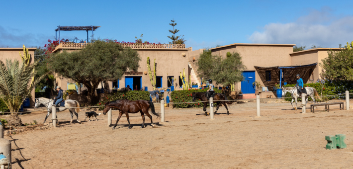 Séjour bien-être, multi-activités et connexion au cheval sur la côte marocaine - Zen&go
