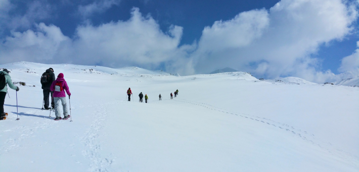 Vacances hiver, Yoga et chiens de traineaux en Auvergne - Zen&go