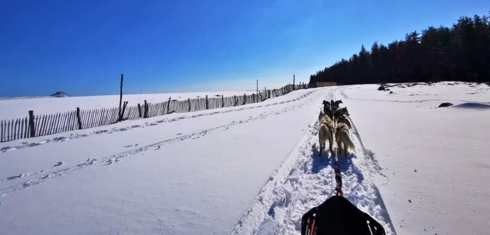 Vacances hiver, Yoga et chiens de traineaux en Auvergne - Zen&go