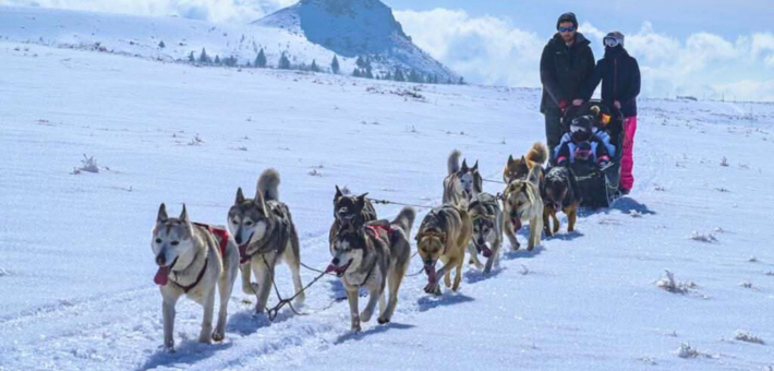 Vacances hiver, Yoga et chiens de traineaux en Auvergne - Zen&go
