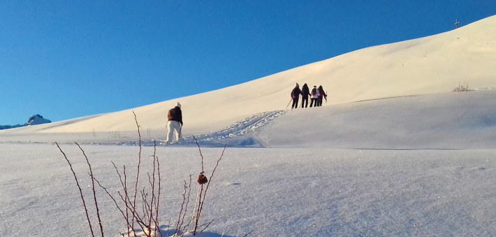 Vacances hiver, Yoga et chiens de traineaux en Auvergne - Zen&go