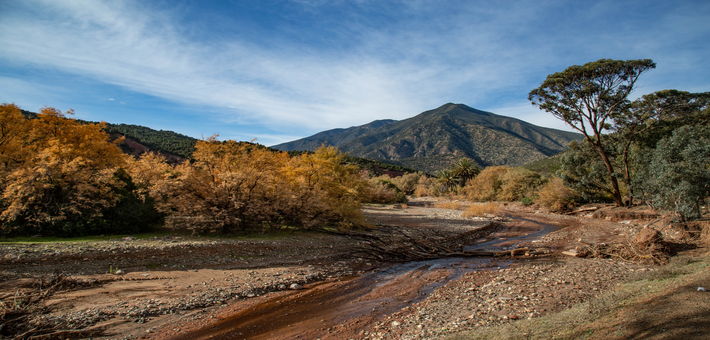 Voyage bien être à Marrakech et immersion en village berbère - Zen&go