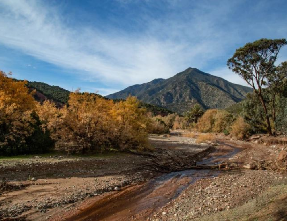 Voyage bien &ecirc;tre &agrave; Marrakech et immersion en village berb&egrave;re