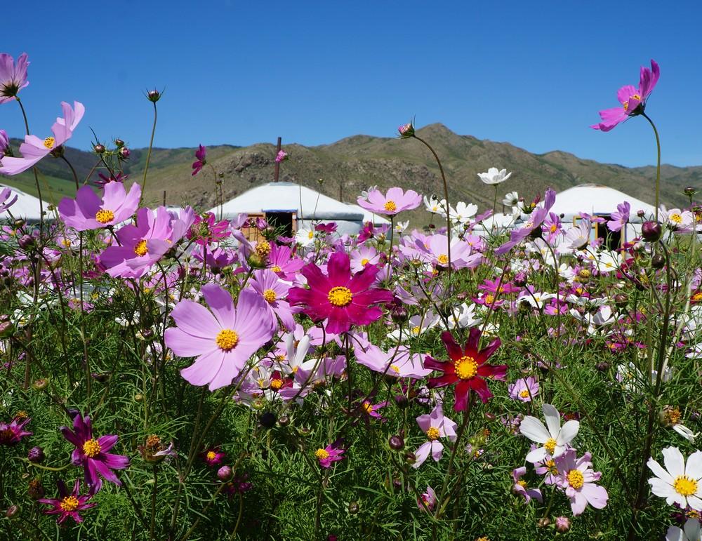 Voyage Yoga en Mongolie, chamanisme et vie nomade