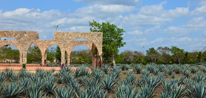 Voyage découverte du Mexique avec Florence Motin et David Tan