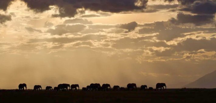 Voyage initiatique au Kenya avec Arnaud Riou - Zen&go