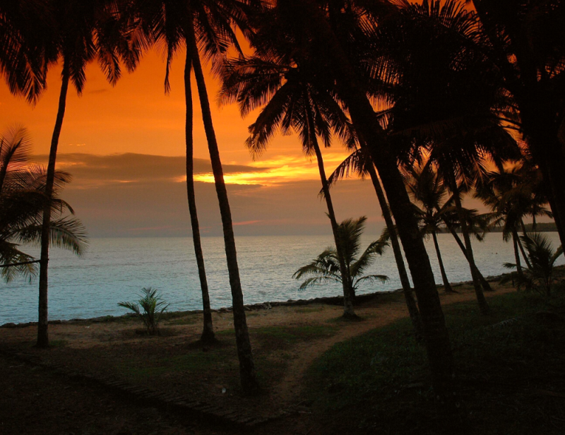 Cure ayurvédique ambiance familiale et nature au Kerala - Zen&go