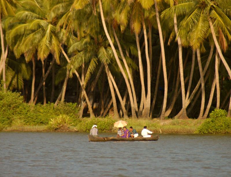 Cure ayurvédique ambiance familiale et nature au Kerala - Zen&go