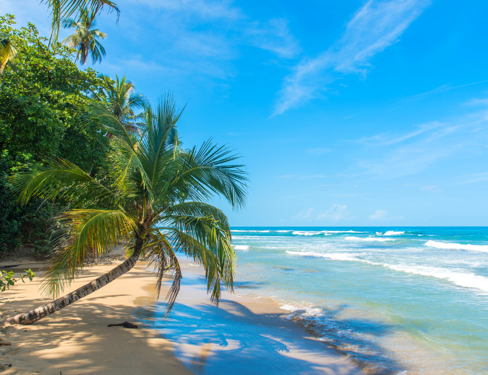 Voyage Eco & Slow tourisme au Costa Rica : bien-être, yoga, rencontres et visites en bord de mer