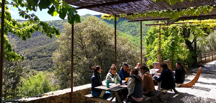 Retraite Yoga et Méditation dans les Cévennes - Zen&go