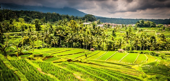 Voyage spirituel à Bali : circuit bien-être et découverte de charme - Zen&go