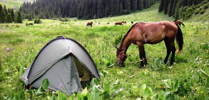 Yoga, cheval et vie nomade en Kirghizie-caval&go