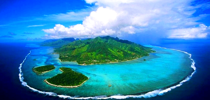 De Tahiti à Moorea - Voyage Ecoresponsable Dolphinesse : immersion baleines à bosse et dauphins sauvages - Zen&go