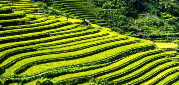 Séjour yoga à Bali, visites des temples et plages de rêve - Zen&go