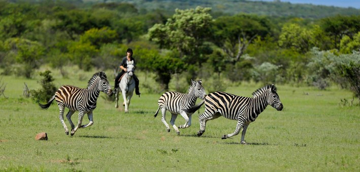 Safari & Yoga en lodge de luxe en Afrique du Sud